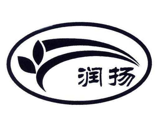 江苏润扬